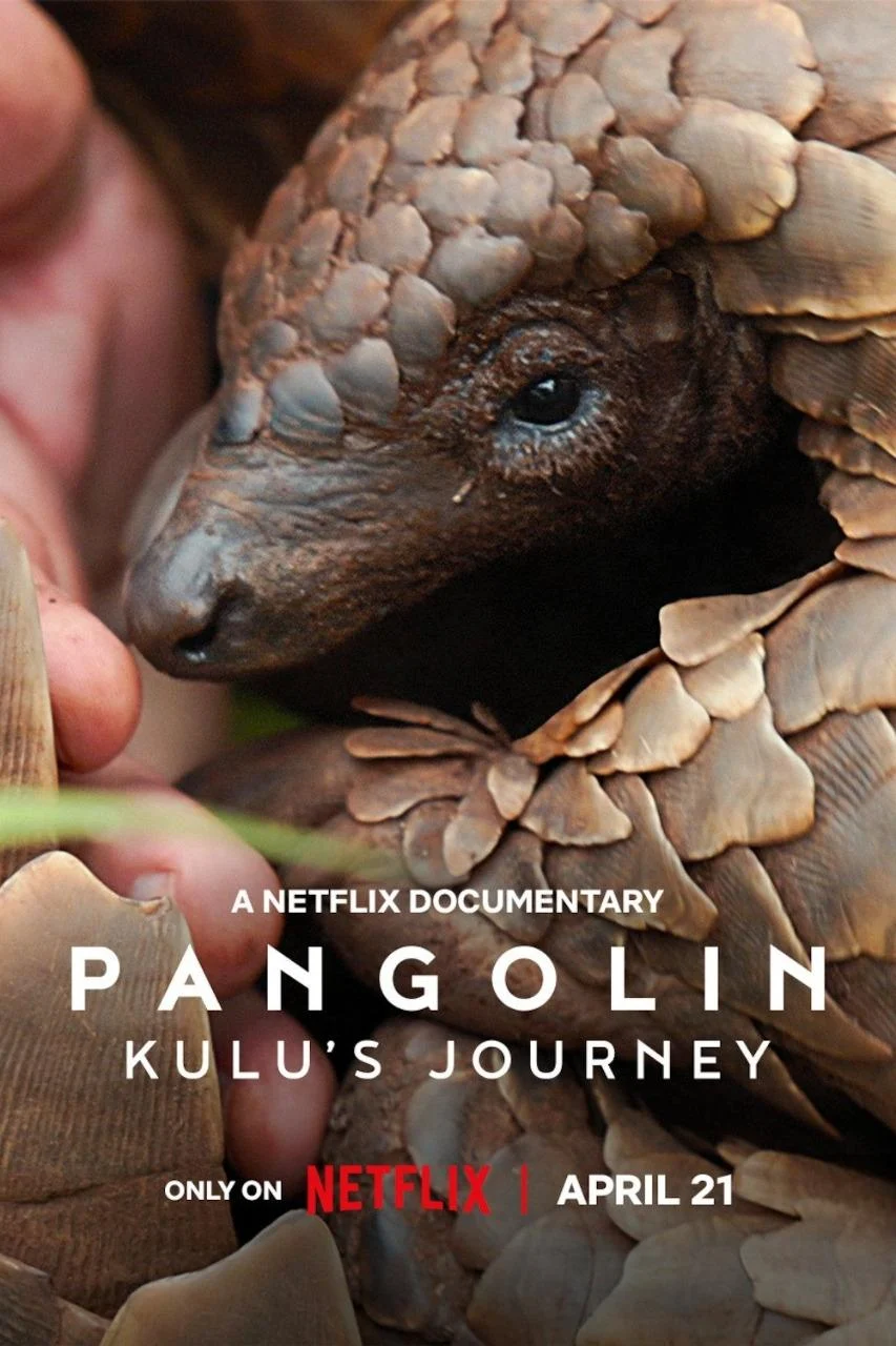 Loài Tê Tê: Hành Trình Của Kulu - Pangolin: Kulu's Journey (2025)